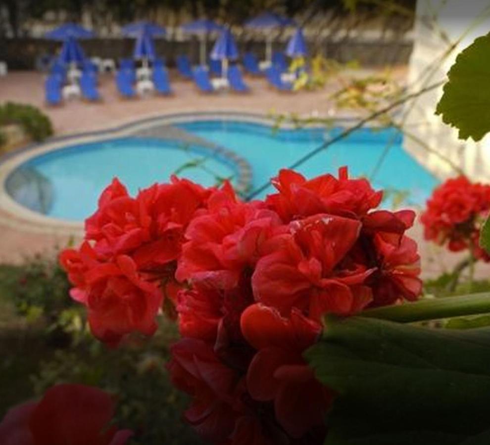 Lili Apartments,Oasis 2,5 Km From Hania Center Parigoria المظهر الخارجي الصورة
